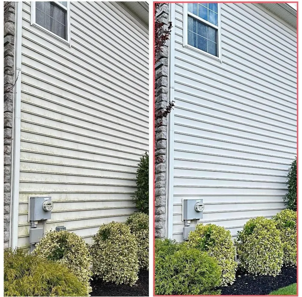 Reliable yard cleanup service with custom design across Winston-Salem, NC - Premier Estate Care