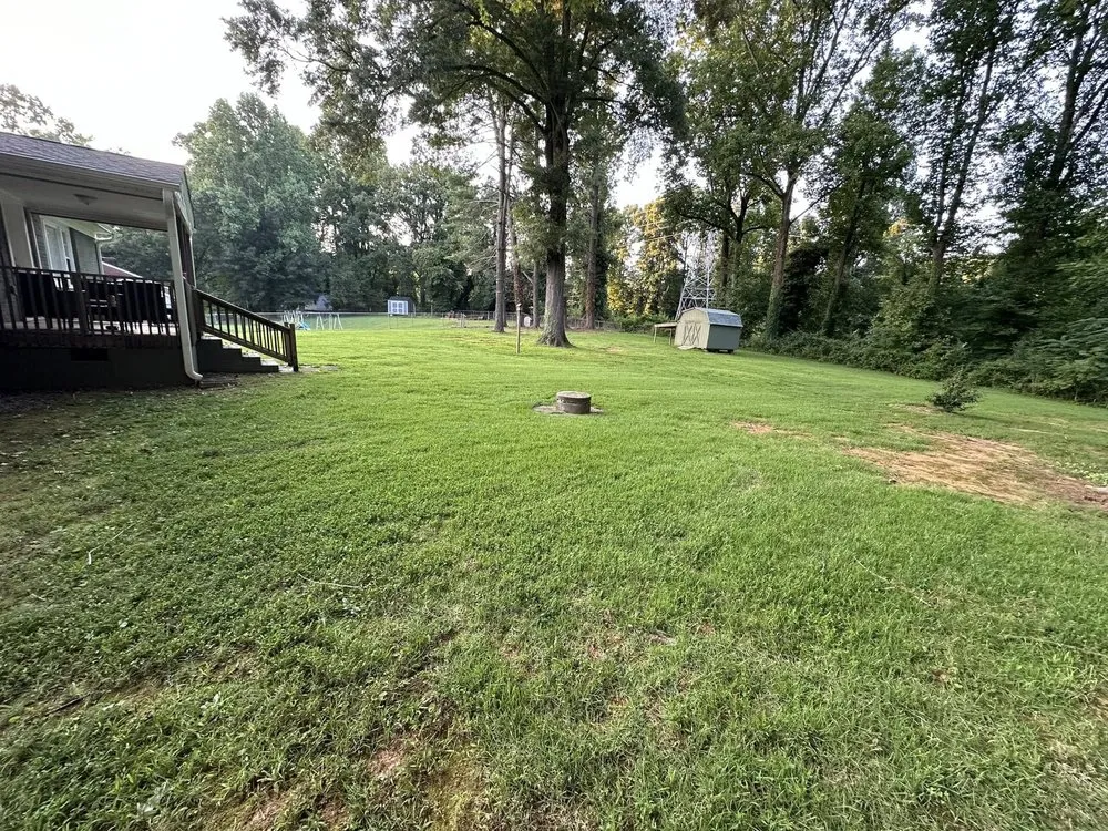 Expert landscape installation for year-round maintenance across Winston-Salem, NC - Premier Estate Care