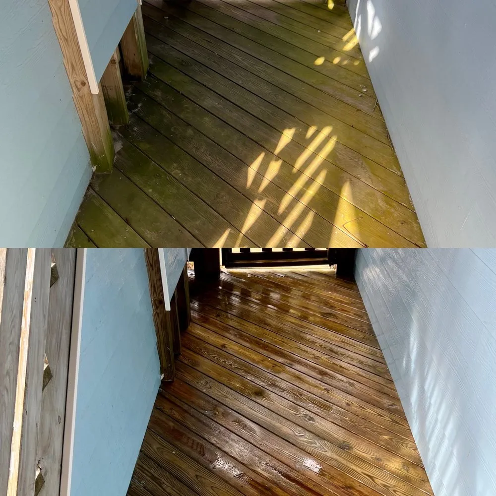 Expert landscape design for beautiful yards across Powells Point, NC - Premier Exterior Services