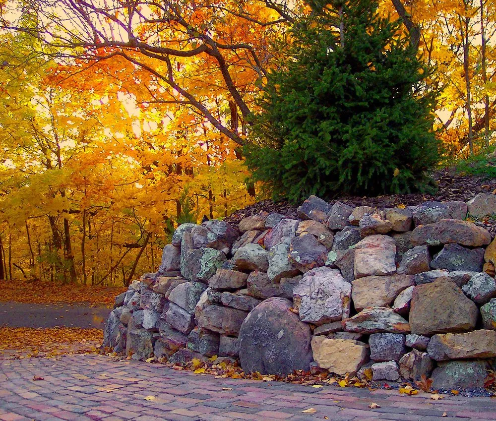 Top-rated landscaping services in Congerville, IL by Premier Garden Design