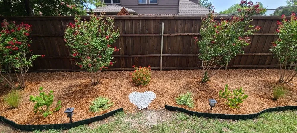 Affordable lawn care service experts serving McKinney, TX - Premier General Services