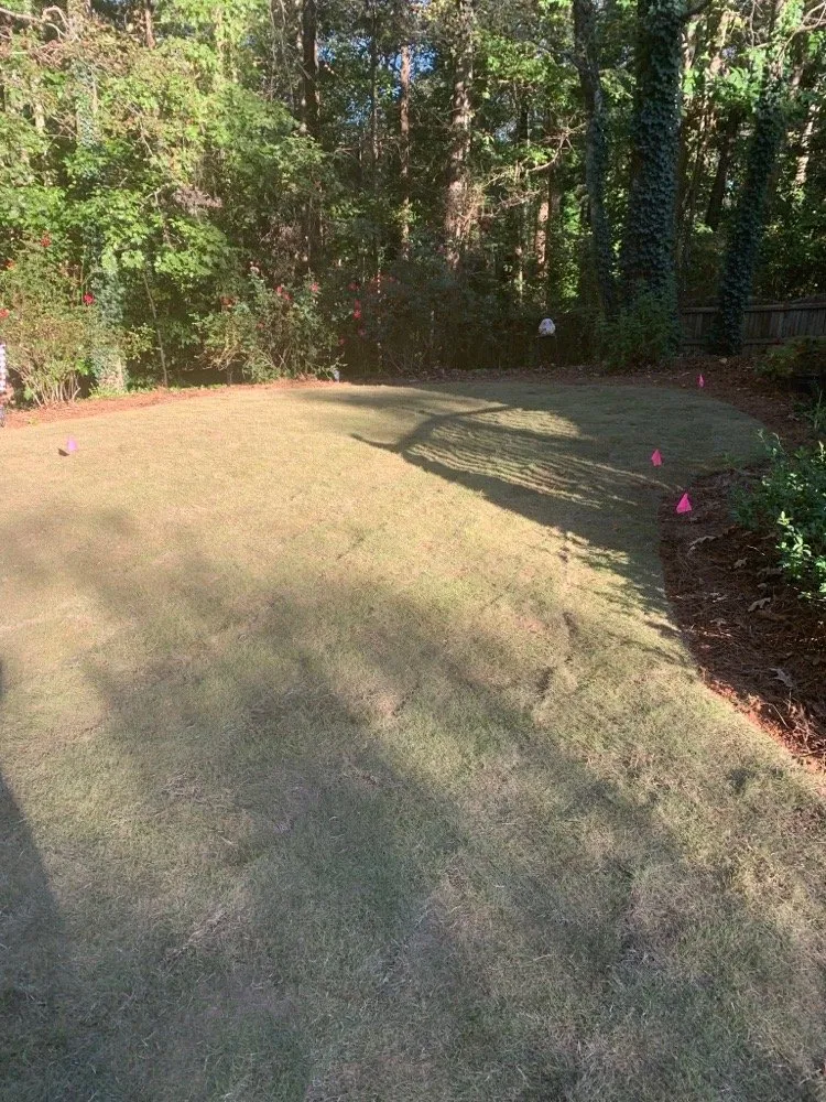Reliable landscaping services in Gainesville, GA - Premier Gold Sod Installation