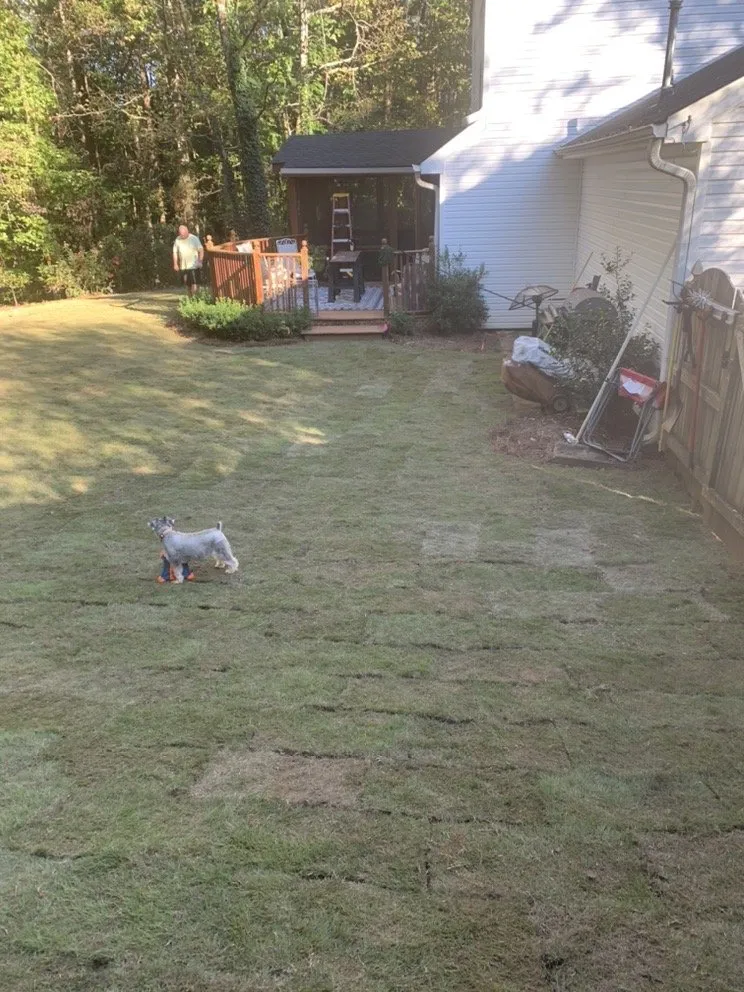 Expert residential landscaping for year-round maintenance in Gainesville, GA by Premier Gold Sod Installation