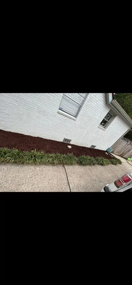 Trusted landscape installation in Baton Rouge, LA - Premier Green