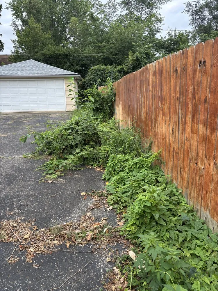 Expert lawn mowing service near you across Columbus, OH - Premier Green