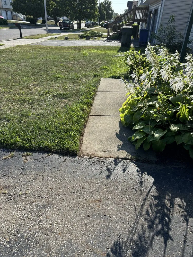 Professional landscape installation in Columbus, OH - Premier Green