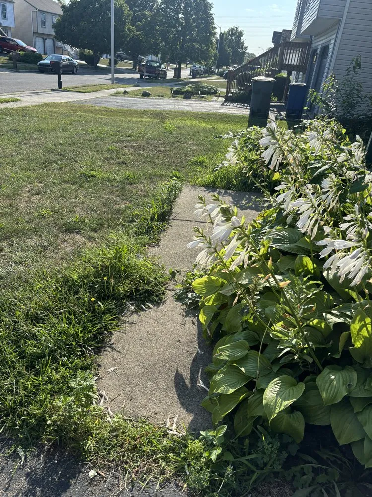 Local yard maintenance in Columbus, OH by Premier Green