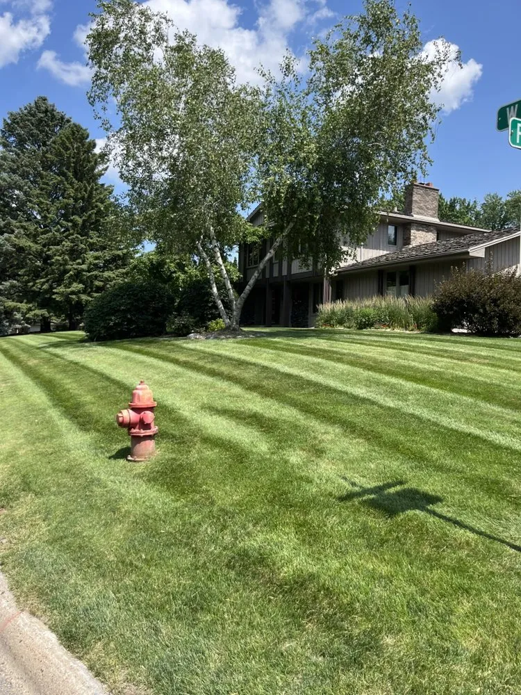 Trusted yard maintenance in Bloomington, MN by Premier Grounds