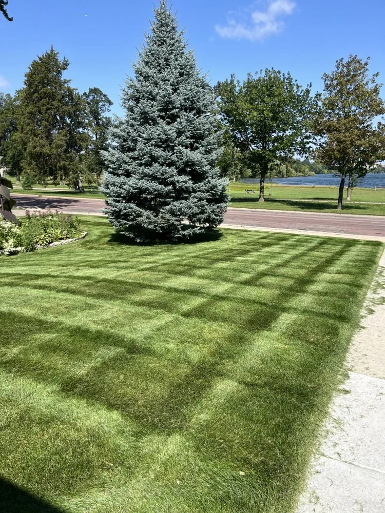 Affordable landscaping services for homes across Bloomington, MN - Premier Grounds