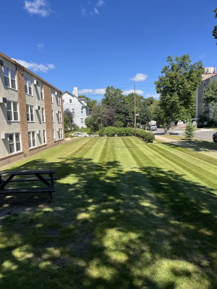 Expert yard cleanup service with custom design across Bloomington, MN - Premier Grounds