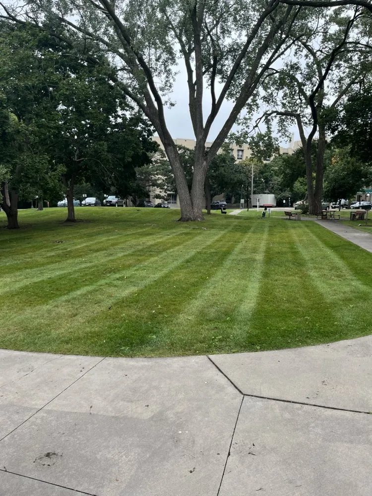 Custom landscape installation in Bloomington, MN - Premier Grounds