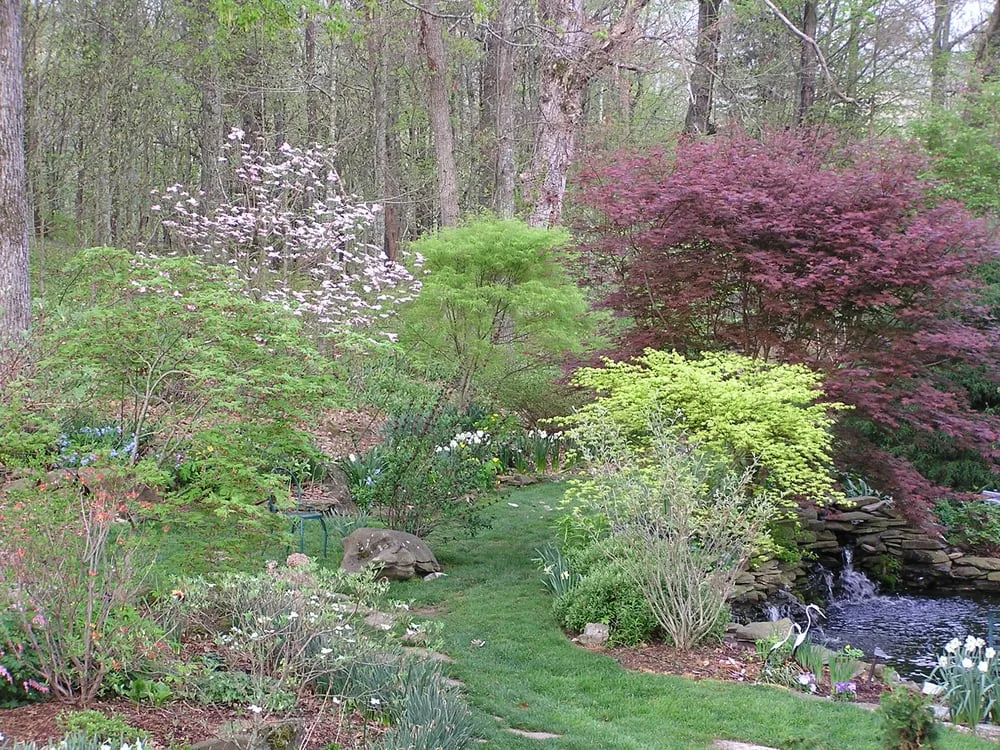 Affordable yard maintenance for year-round maintenance in Gallatin, TN by Premier Grounds Maintenance, LLC