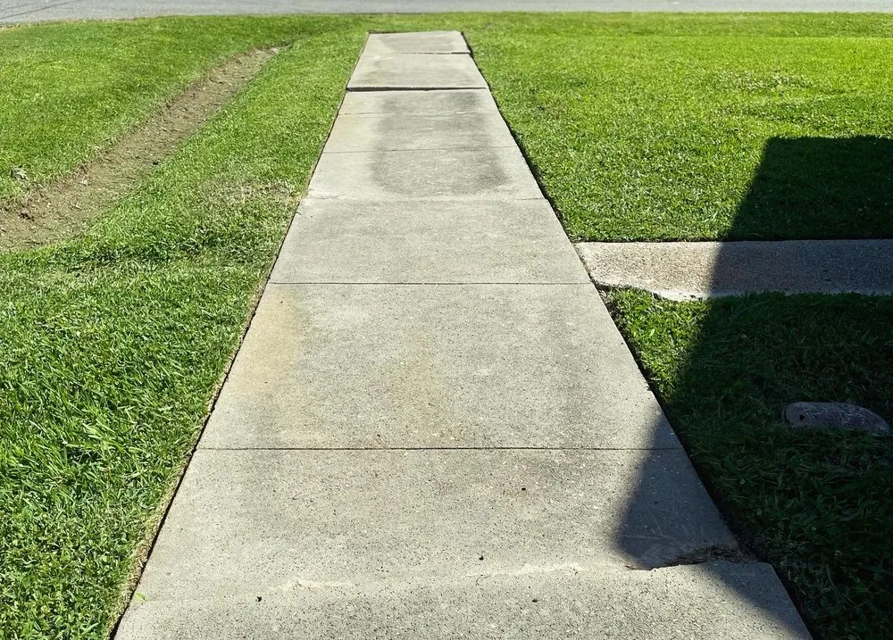 Reliable landscaping services in Rayne, LA by Premier Grounds Maintenance