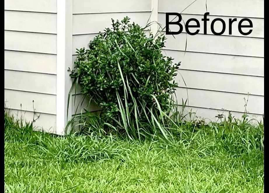 Reliable lawn mowing service for homes in Rayne, LA by Premier Grounds Maintenance