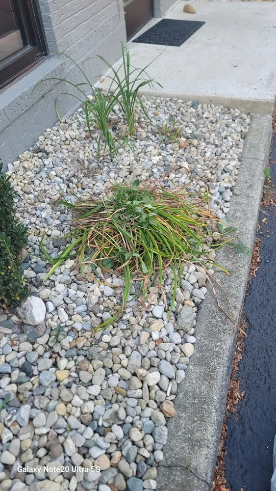 Affordable outdoor landscaping for beautiful yards across Indianapolis, IN - Premier Grounds Services