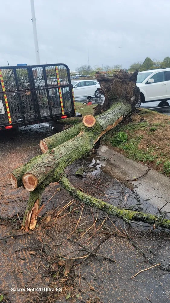 Professional lawn mowing service in Indianapolis, IN - Premier Grounds Services