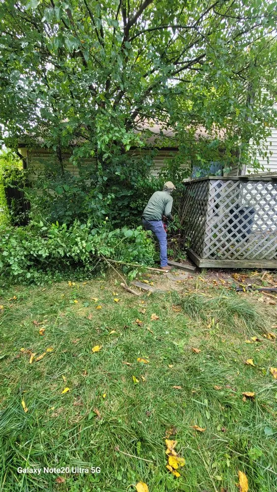 Reliable lawn mowing service in Indianapolis, IN by Premier Grounds Services