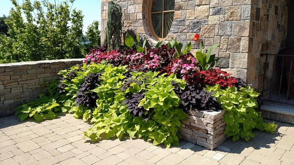 Professional landscape design in Portsmouth, RI by Premier Gunite Pools