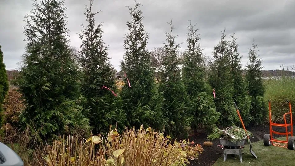 Custom lawn care service experts serving Portsmouth, RI - Premier Gunite Pools