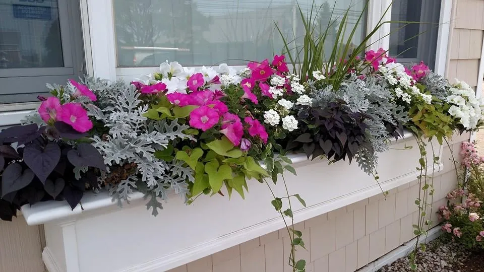 Trusted lawn care service in Portsmouth, RI by Premier Gunite Pools