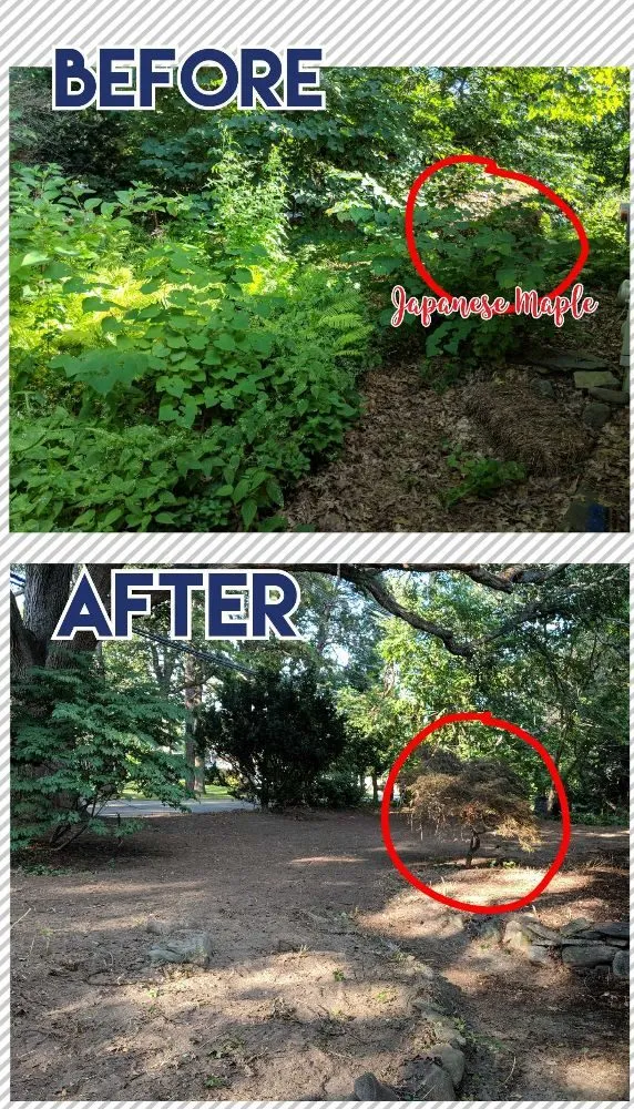 Trusted outdoor landscaping in Acton, MA - Premier Home Services