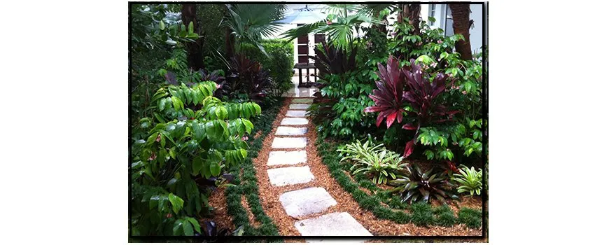 Expert outdoor landscaping experts serving Miami, FL - Premier Horticulture