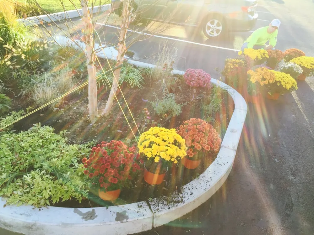 Reliable lawn mowing service for homes across Natick, MA - Premier II Home & Lawn Care