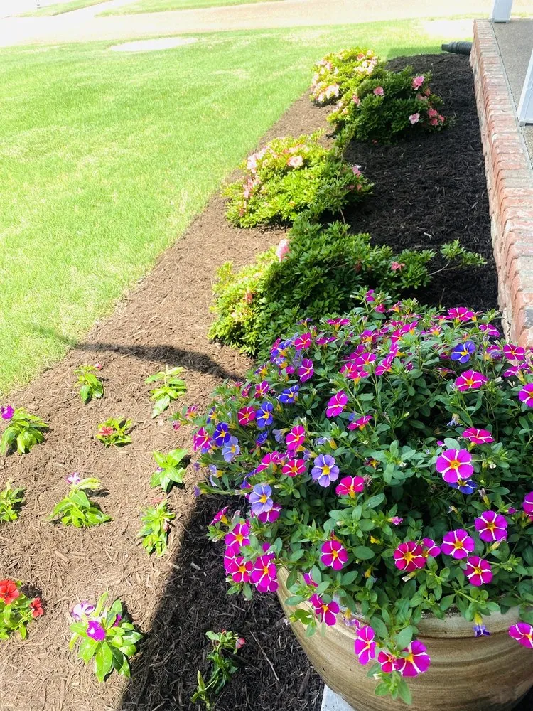 Reliable residential landscaping in Cordova, TN by Premier Image Landscapes