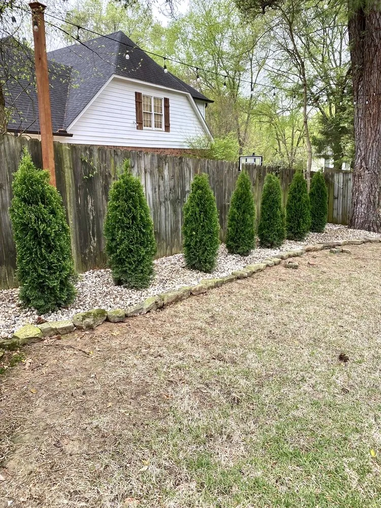 Professional landscape design in Cordova, TN - Premier Image Landscapes