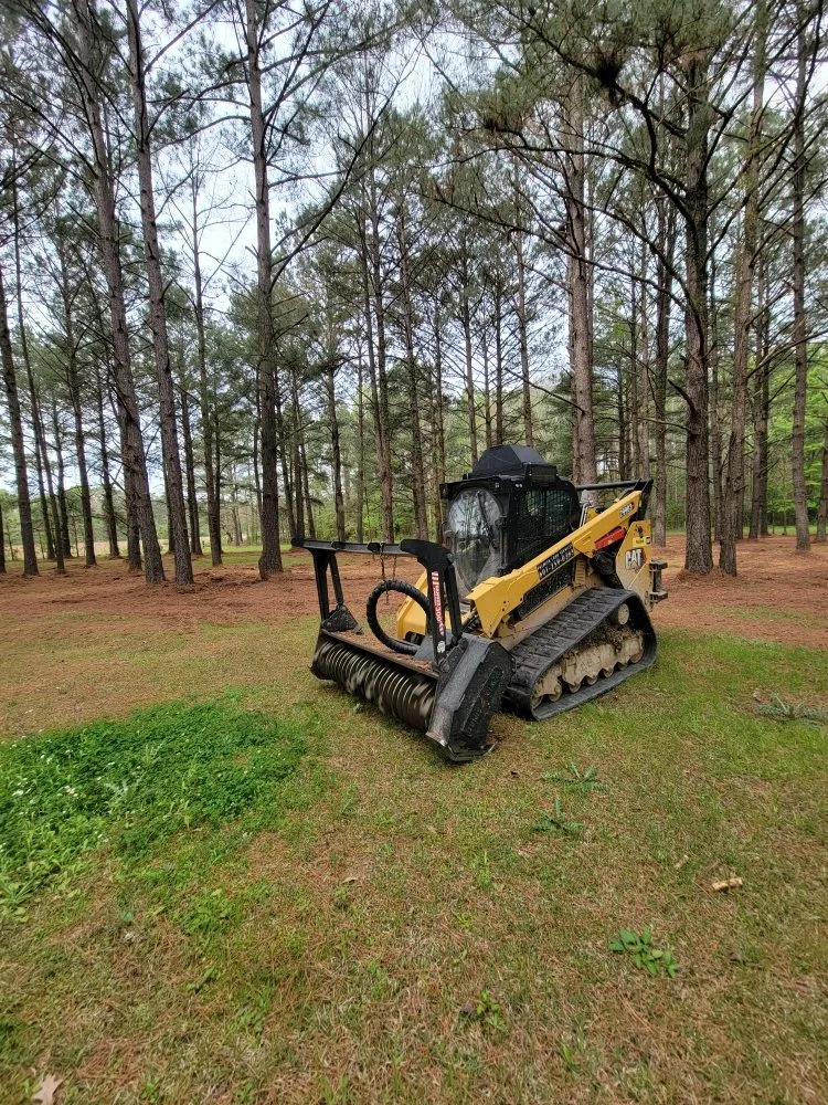 Custom garden landscaping near you across Brandon, MS - Premier Land Services