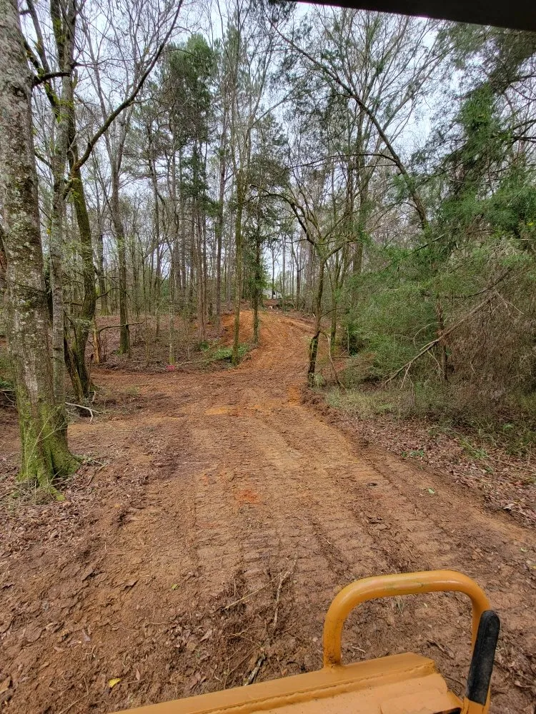 Custom lawn mowing service experts serving Brandon, MS - Premier Land Services