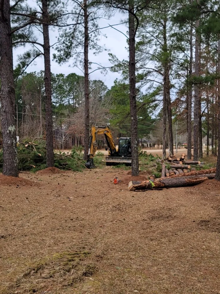 Top-rated garden landscaping experts serving Brandon, MS - Premier Land Services