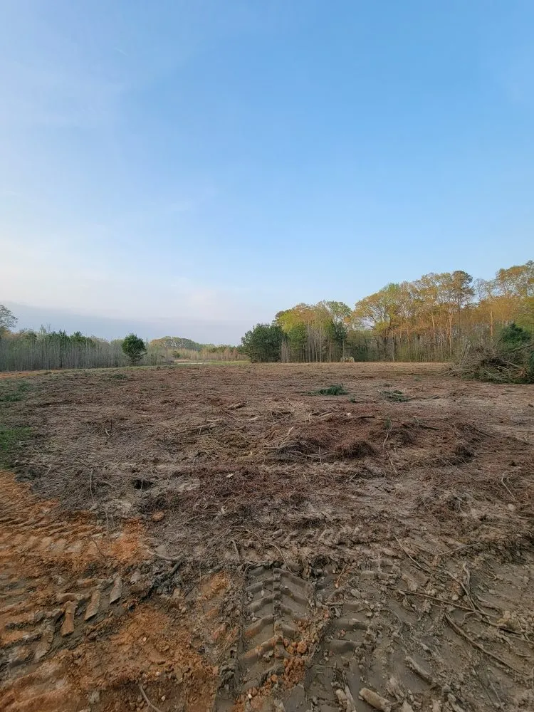 Trusted yard maintenance in Brandon, MS by Premier Land Services