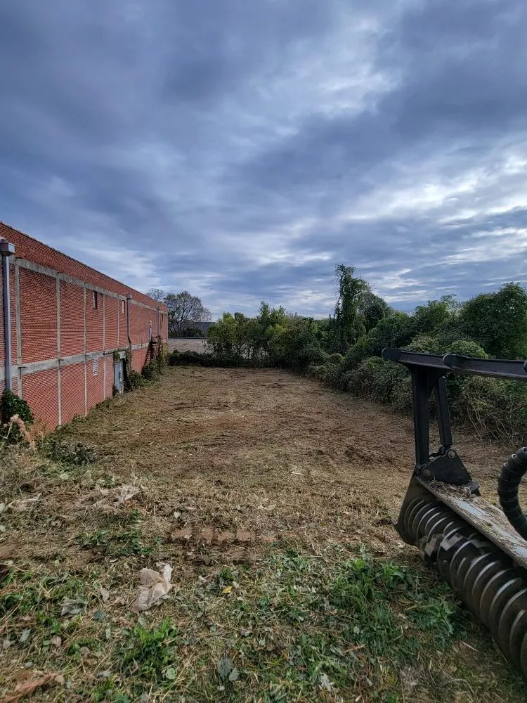 Custom yard cleanup service experts serving Brandon, MS - Premier Land Services