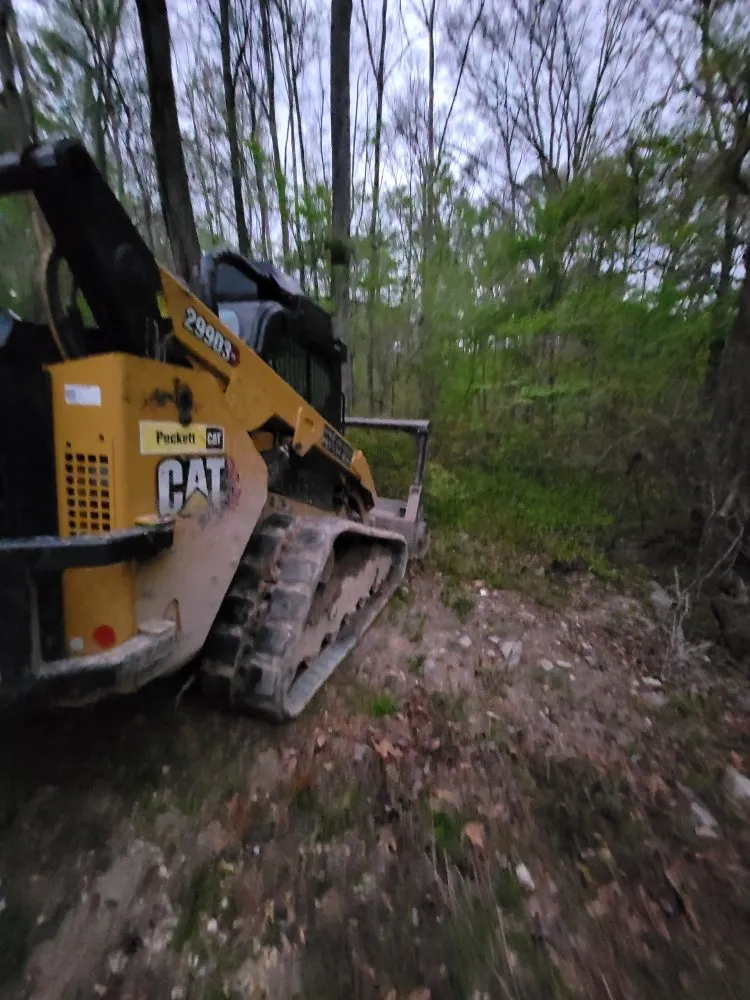 Expert yard cleanup service experts serving Brandon, MS - Premier Land Services