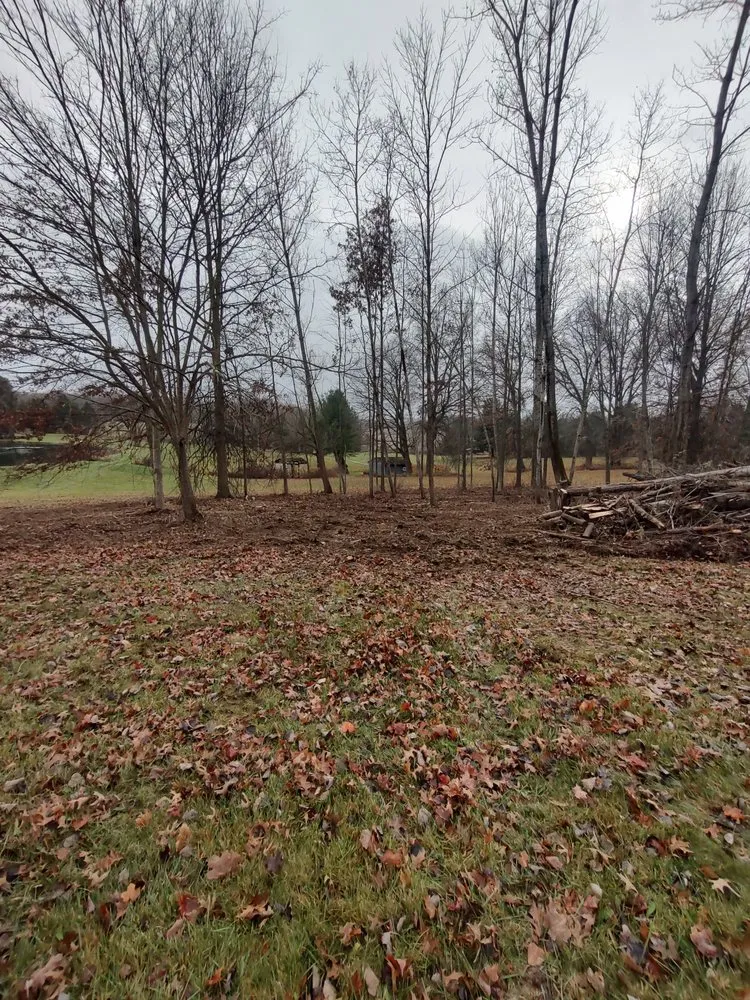 Reliable yard maintenance experts serving Wadsworth, OH - Premier Land Services