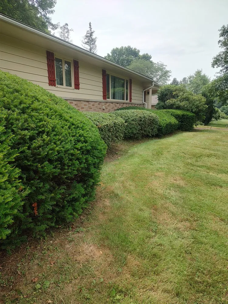 Affordable landscape design in Wadsworth, OH - Premier Land Services