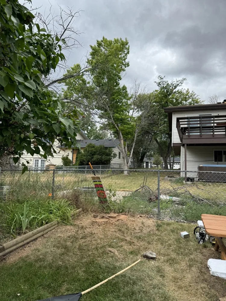 Local landscape installation in Billings, MT by Premier Landscape and Tree Service