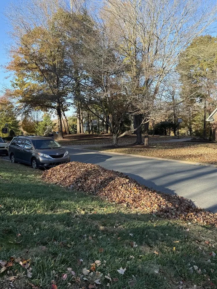 Expert outdoor landscaping for year-round maintenance in Gastonia, NC by Premier Landscape and Turf