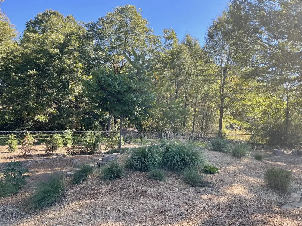 Custom landscape installation experts serving Gastonia, NC - Premier Landscape and Turf