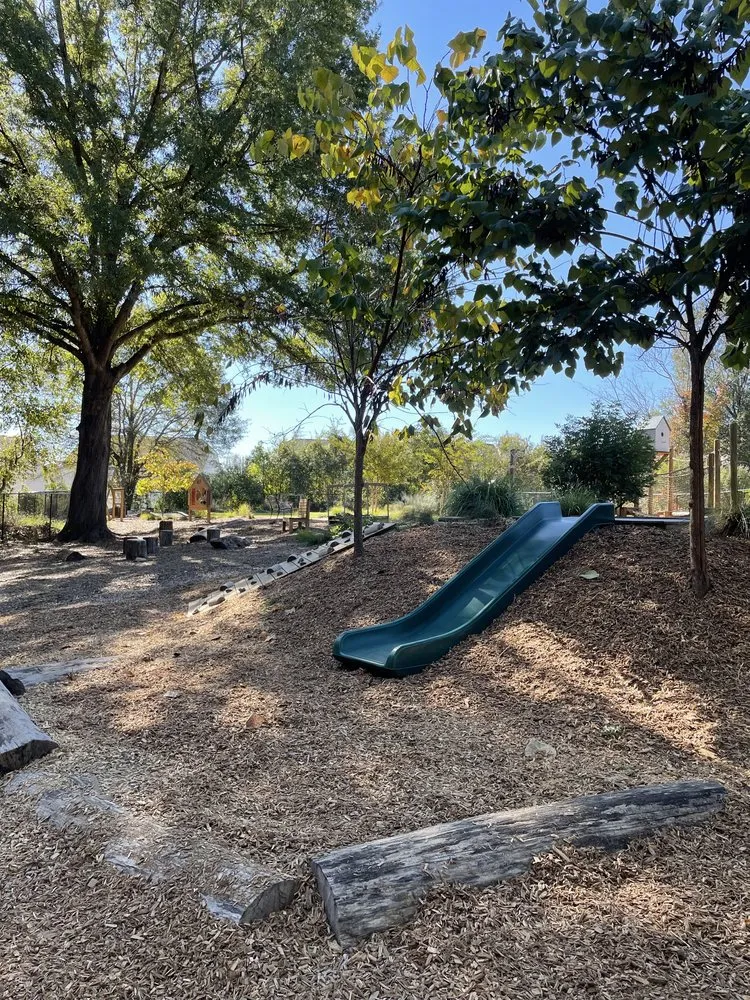 Local residential landscaping in Gastonia, NC - Premier Landscape and Turf