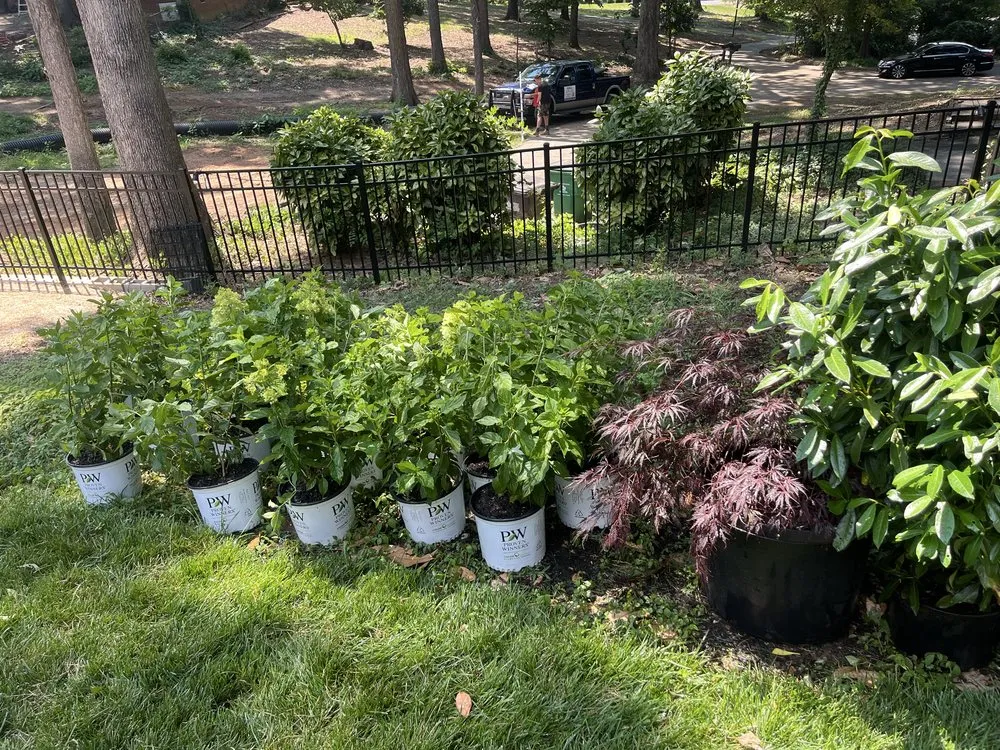 Trusted residential landscaping experts serving Gastonia, NC - Premier Landscape and Turf