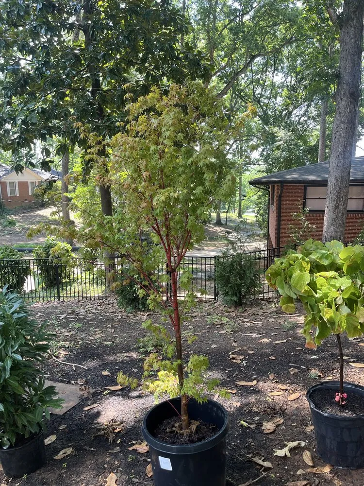 Trusted outdoor landscaping in Gastonia, NC by Premier Landscape and Turf