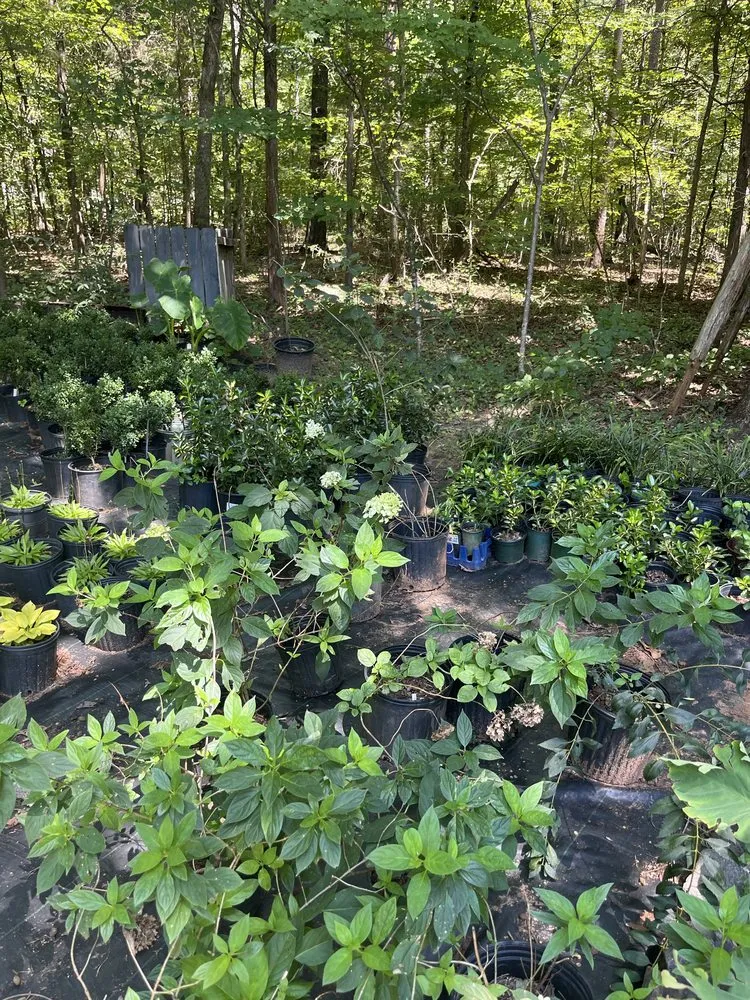 Reliable garden landscaping for year-round maintenance in Gastonia, NC by Premier Landscape and Turf