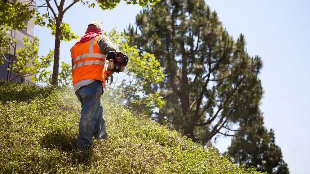 Expert landscape installation experts serving Covington, WA - Premier Landscape Construction