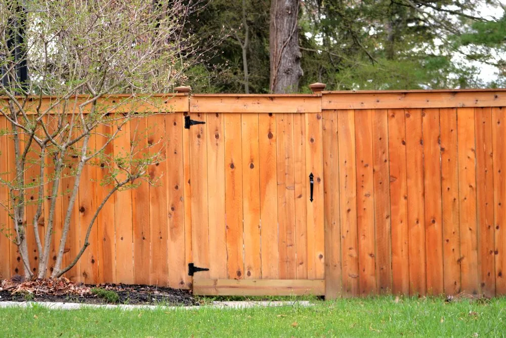 Trusted yard maintenance experts serving Covington, WA - Premier Landscape Construction