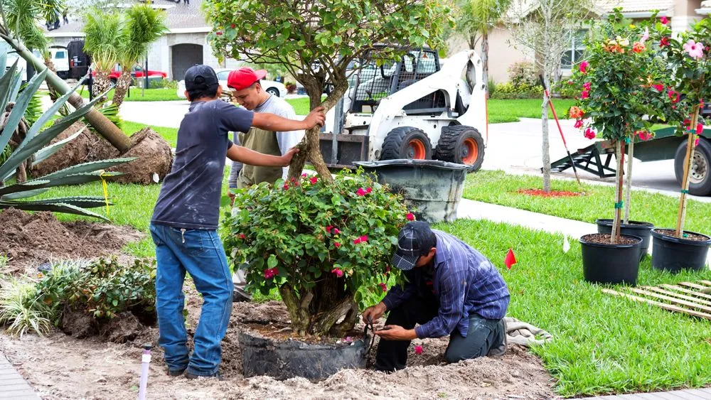 Custom landscaping services for beautiful yards across Covington, WA - Premier Landscape Construction