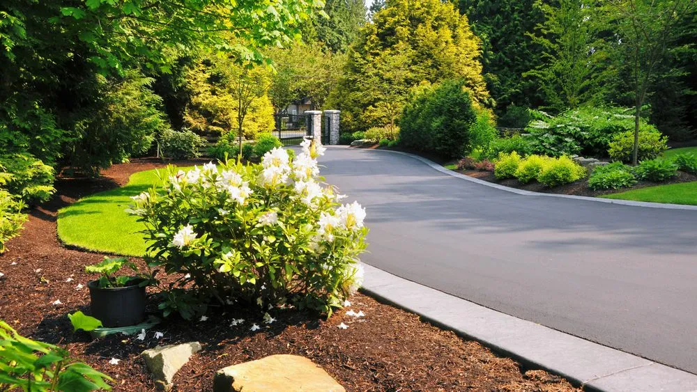 Local yard cleanup service in Covington, WA by Premier Landscape Construction