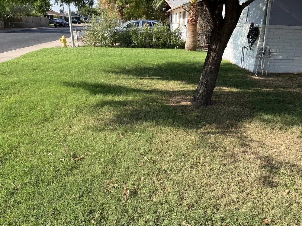 Professional outdoor landscaping for year-round maintenance in Mesa, AZ by Premier Landscape Developments