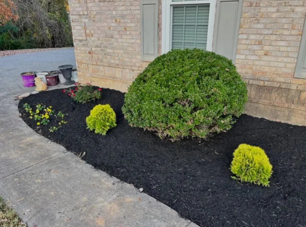 Expert residential landscaping near you across Elizabeth, NJ - Premier Landscape